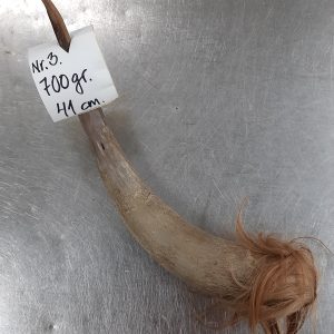 Oxhorn nr.3